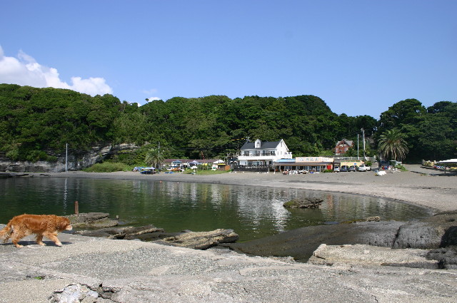 ファイル 958-1.jpg