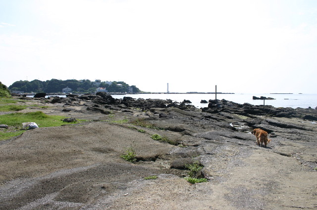 ファイル 958-4.jpg