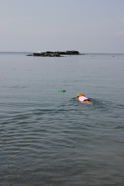 ファイル 959-1.jpg