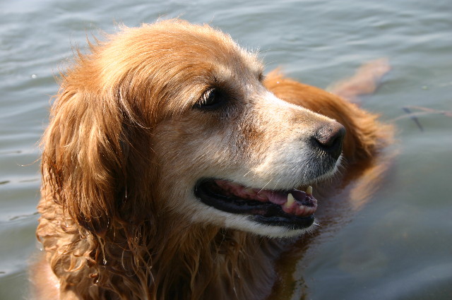 ファイル 959-2.jpg