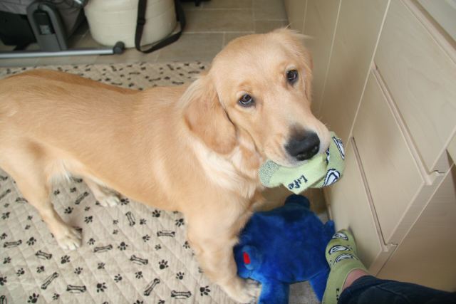 ファイル 96-5.jpg