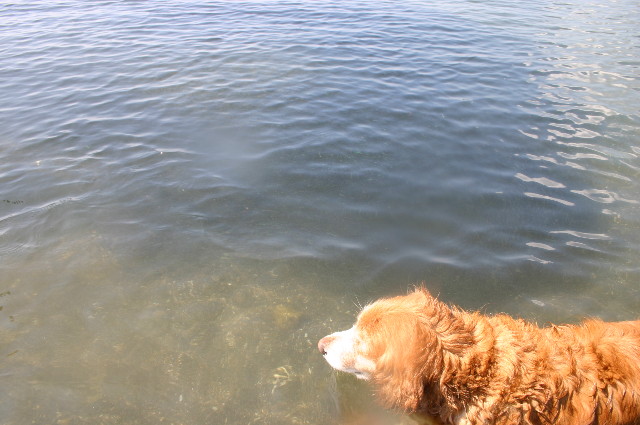 ファイル 960-2.jpg