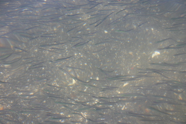 ファイル 960-3.jpg