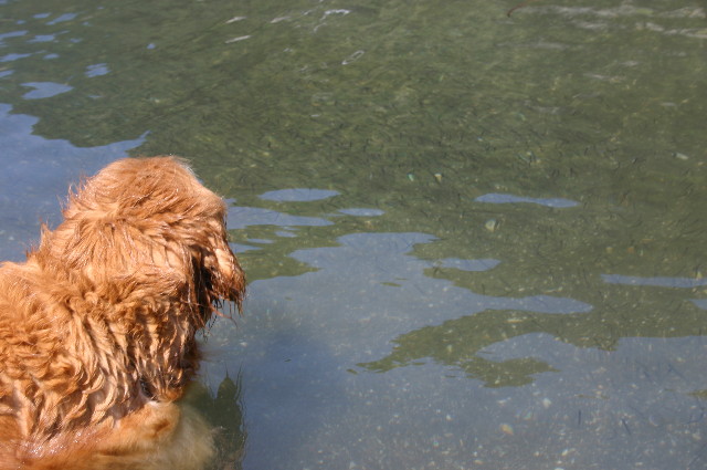 ファイル 960-4.jpg