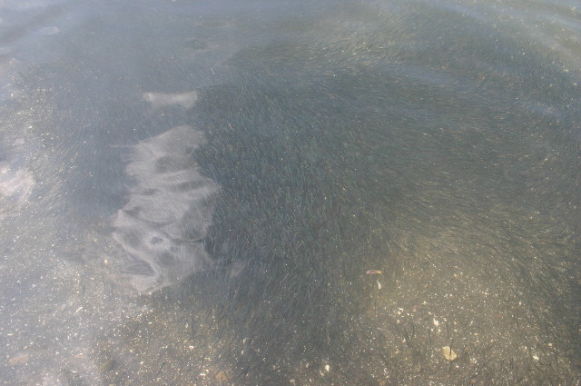 ファイル 960-5.jpg