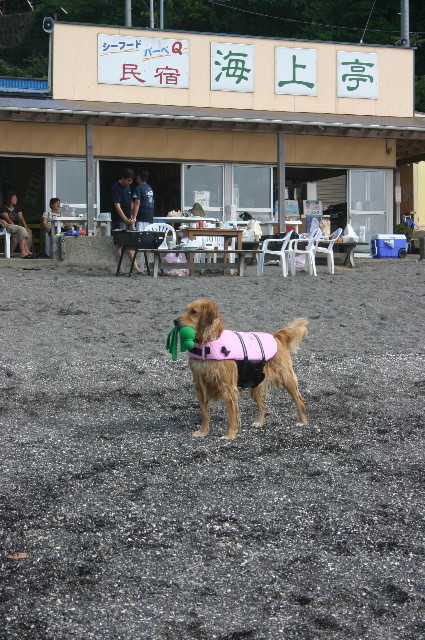 ファイル 961-3.jpg