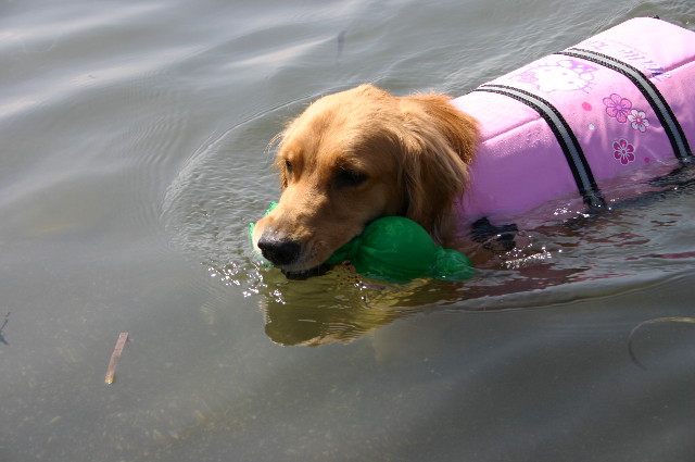 ファイル 961-5.jpg