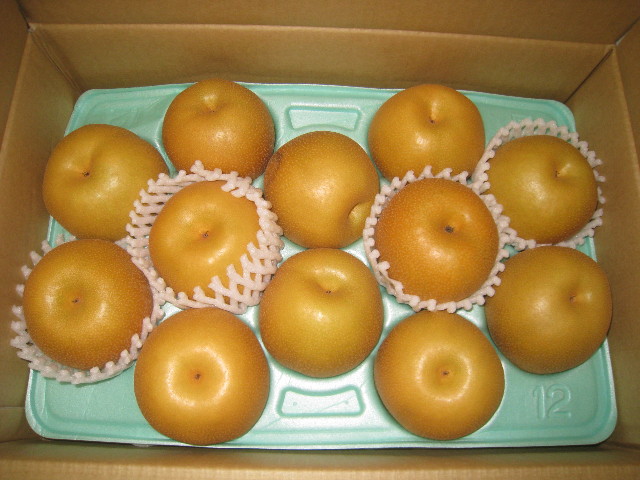 ファイル 962-2.jpg