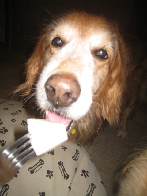 ファイル 962-3.jpg