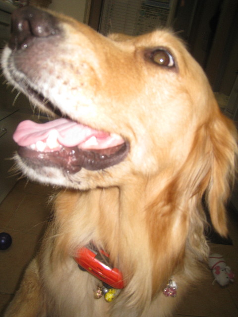 ファイル 963-2.jpg