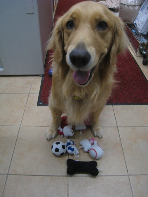 ファイル 963-3.jpg