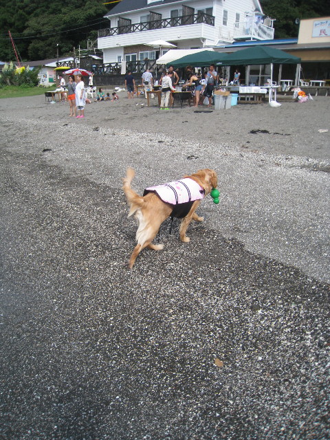 ファイル 966-1.jpg