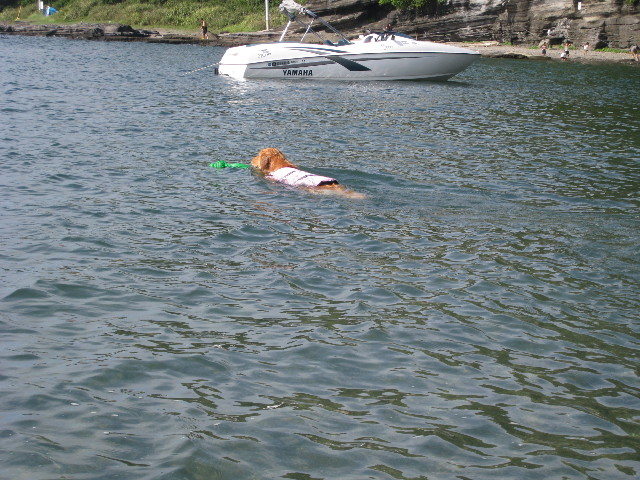 ファイル 966-2.jpg