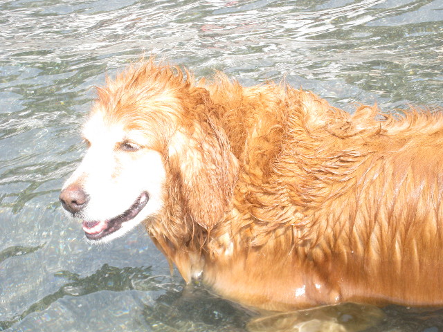 ファイル 966-4.jpg