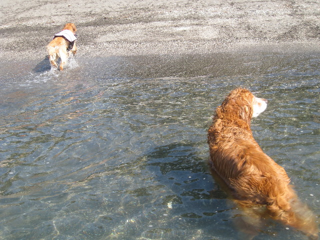 ファイル 967-2.jpg