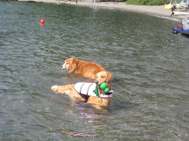 ファイル 967-5.jpg