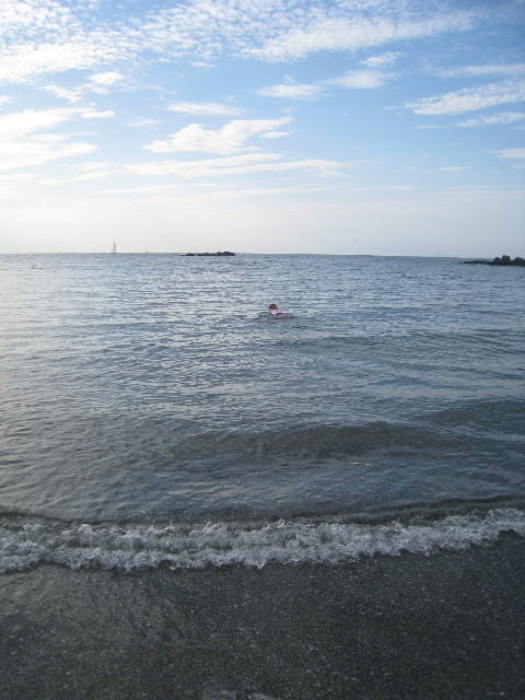 ファイル 968-3.jpg