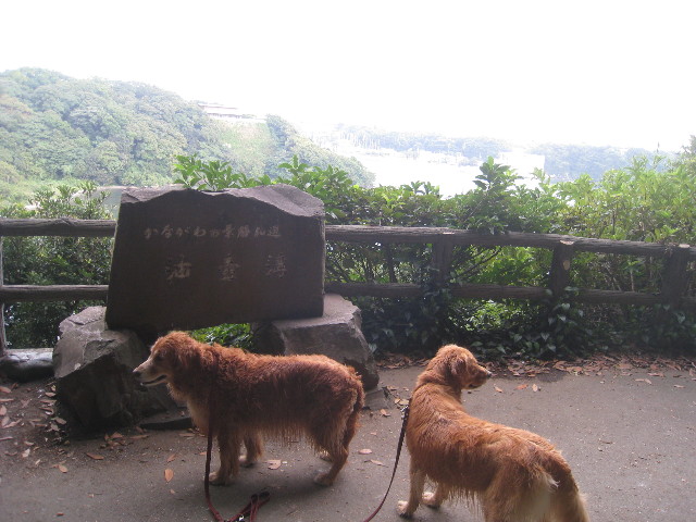 ファイル 968-5.jpg