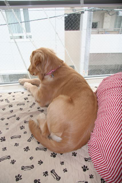 ファイル 97-1.jpg