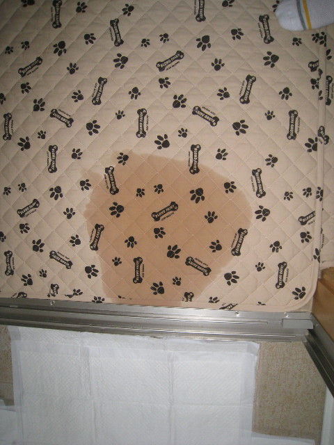 ファイル 970-1.jpg