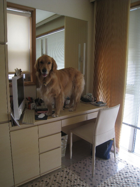 ファイル 970-2.jpg