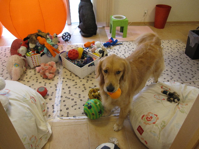 ファイル 970-4.jpg