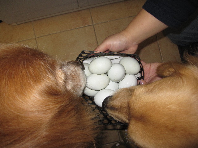 ファイル 970-5.jpg