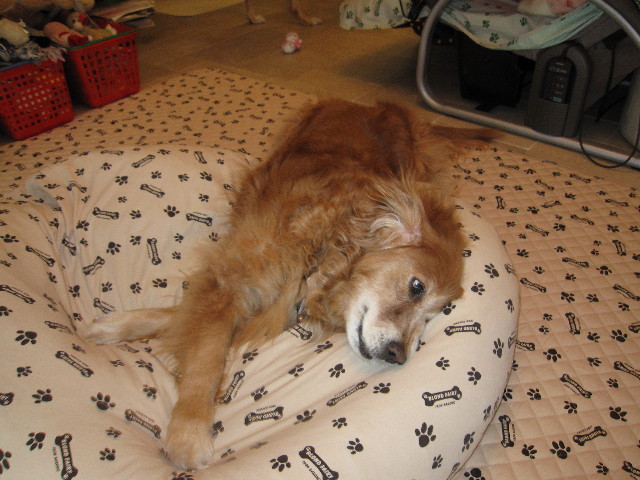 ファイル 972-4.jpg