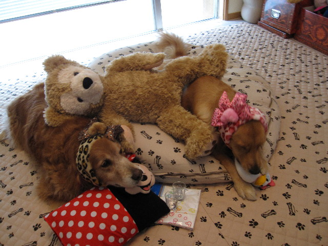 ファイル 978-3.jpg