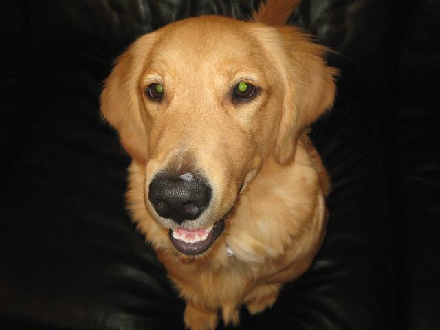 ファイル 98-2.jpg