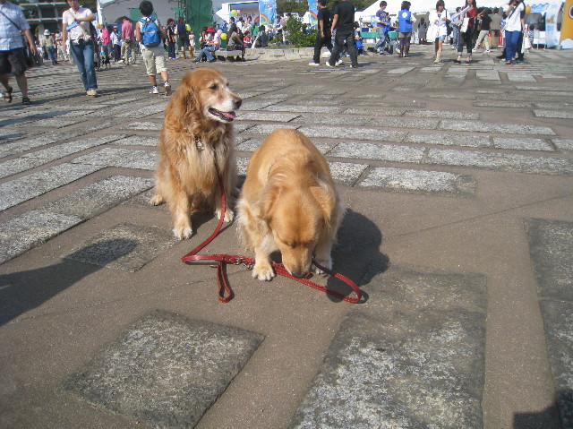 ファイル 980-5.jpg