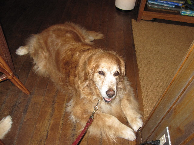 ファイル 984-3.jpg