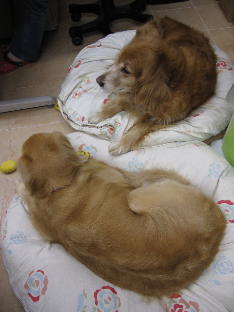 ファイル 988-3.jpg