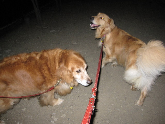 ファイル 989-2.jpg