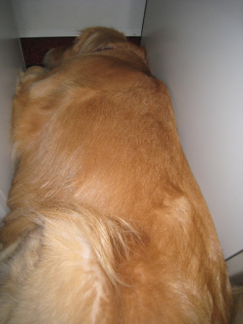 ファイル 989-3.jpg