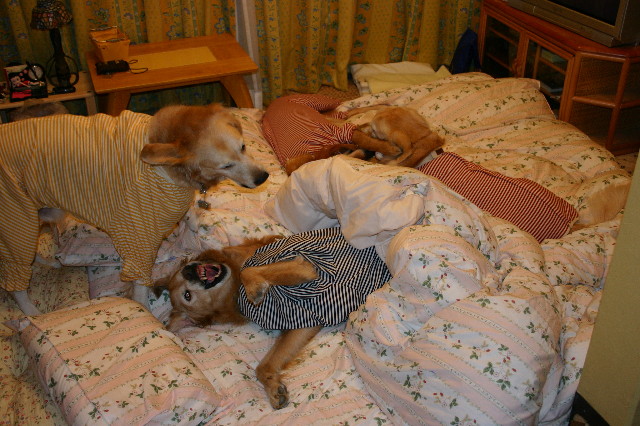 ファイル 989-5.jpg