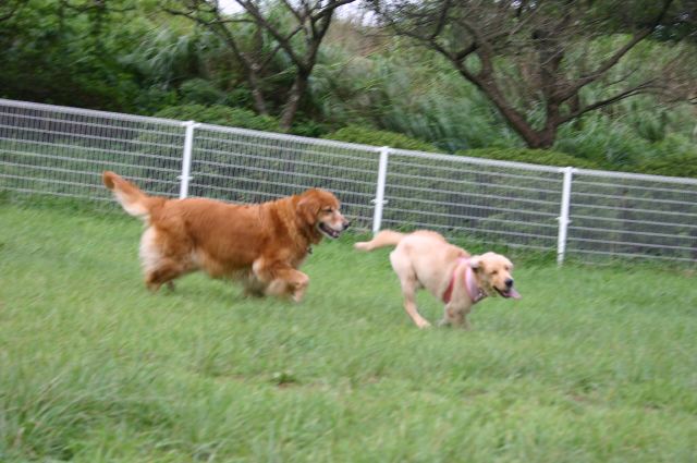 ファイル 99-3.jpg