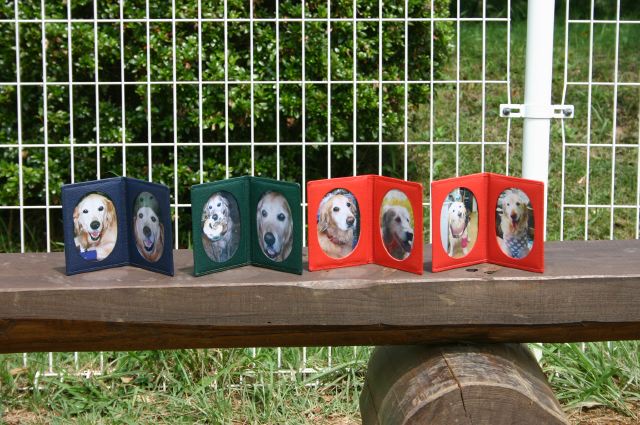 ファイル 99-4.jpg