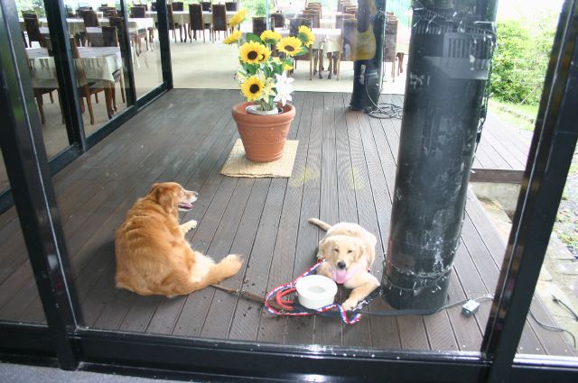 ファイル 99-5.jpg