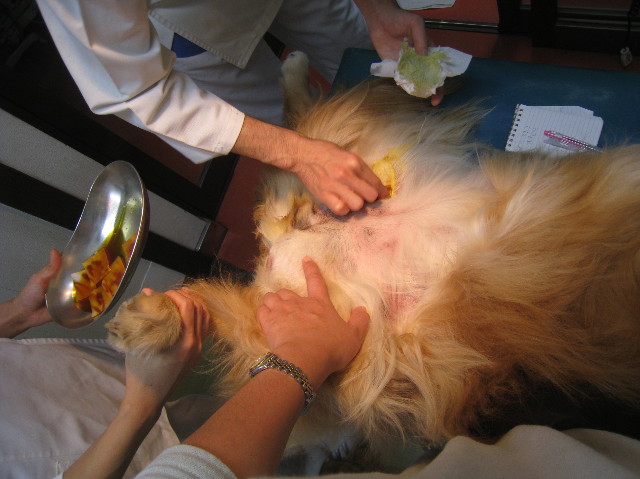 ファイル 995-2.jpg