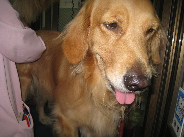 ファイル 995-3.jpg