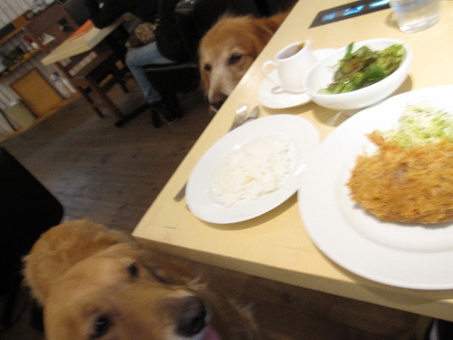 ファイル 995-5.jpg