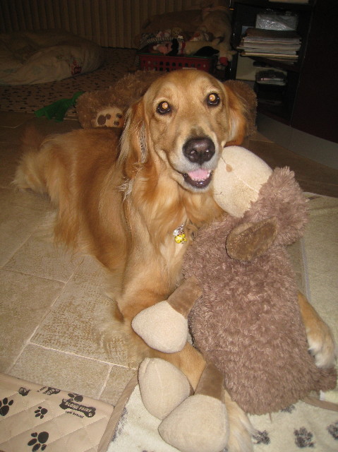 ファイル 997-4.jpg